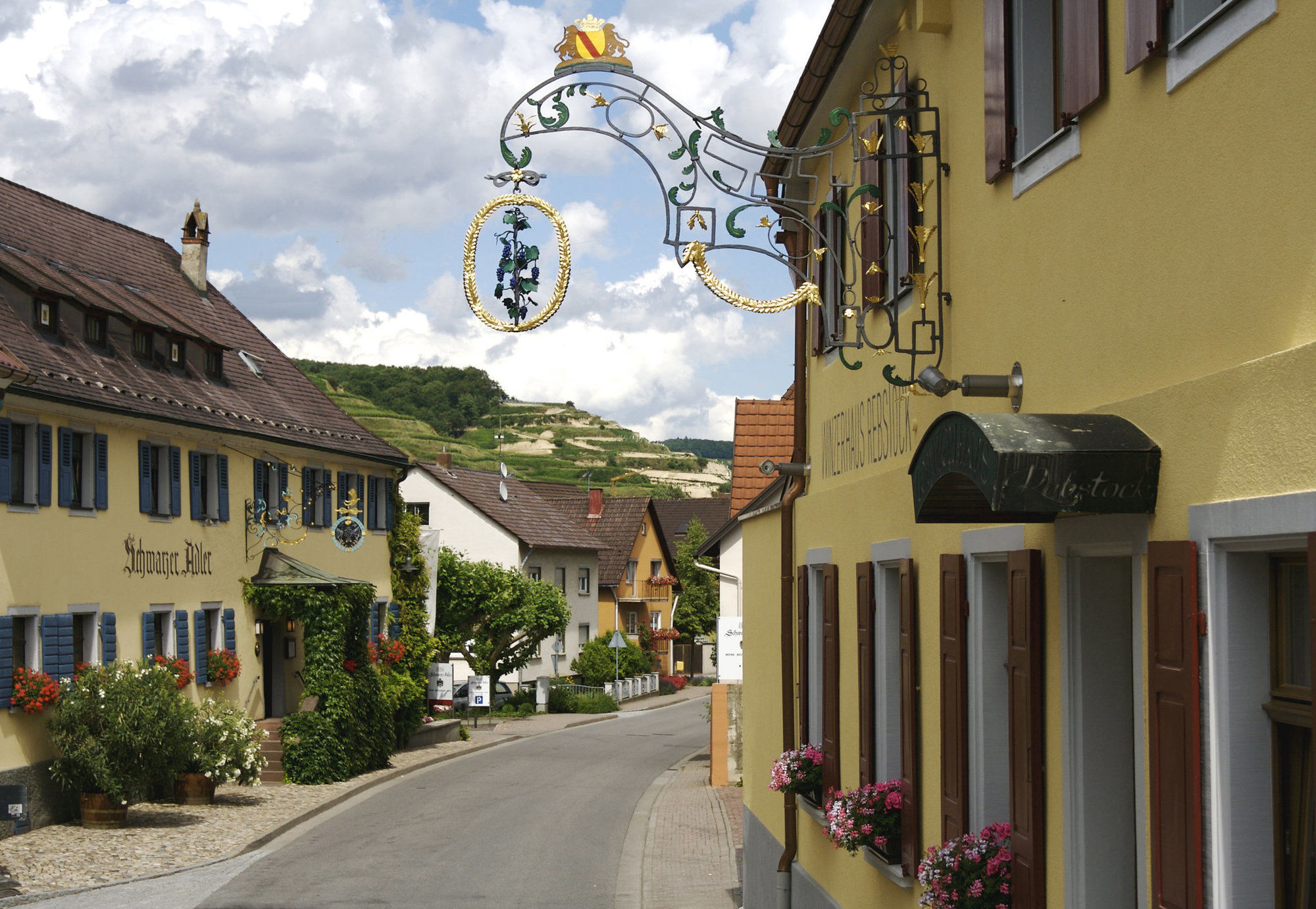 Schwarzer Adler Hotel Фогтсбург Екстериор снимка