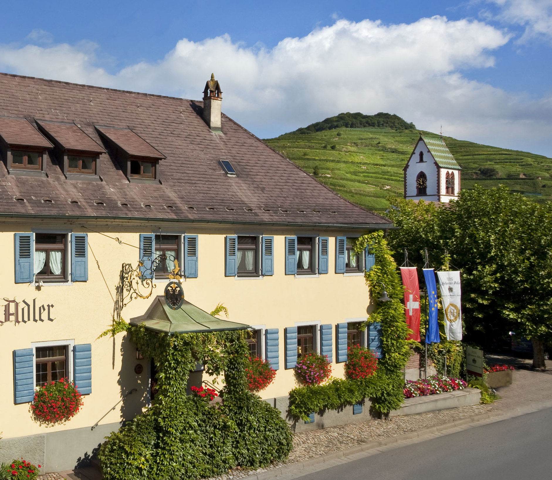 Schwarzer Adler Hotel Фогтсбург Екстериор снимка